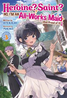 HEROINE SAINT ALL WORKS MAID SC NOVEL VOL 03 (MR)
