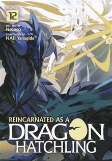 REINCARNATED AS A DRAGON HATCHLING GN (LIGHT NOVEL) VOL 12