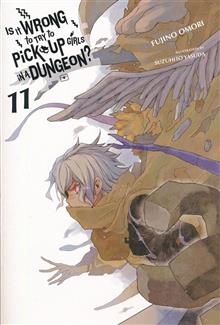 IS IT WRONG TO PICK UP GIRLS DUNGEON NOVEL VOL 11
