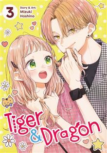 TIGER & DRAGON GN VOL 03