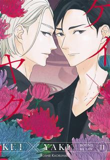 KEI X YAKU BOUND BY LAW GN VOL 11