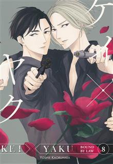 KEI X YAKU BOUND BY LAW GN VOL 08