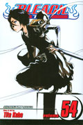 BLEACH GN VOL 54