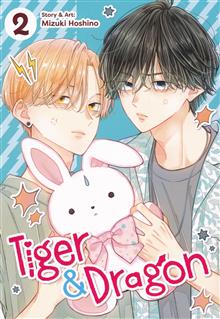 TIGER & DRAGON GN VOL 02