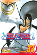 BLEACH GN VOL 33 