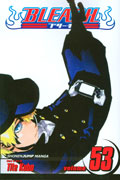 BLEACH GN VOL 53