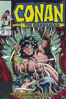 CONAN THE BARBARIAN THE ORIGINAL COMICS OMNIBUS HC VOL 07 REG ED DOCHERTY CVR (MR)
